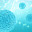 Biomedical Engineering