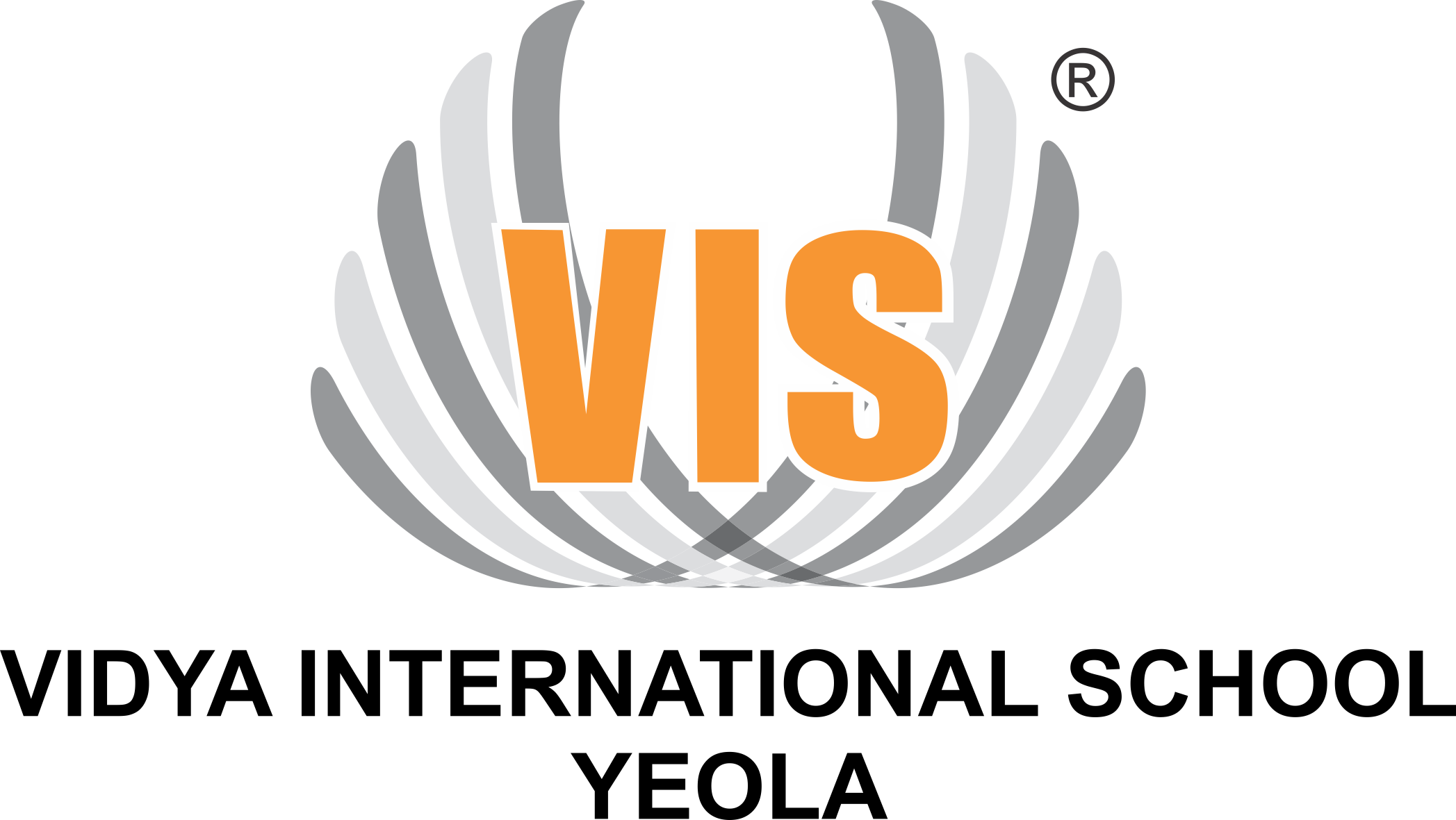 Vidya International School